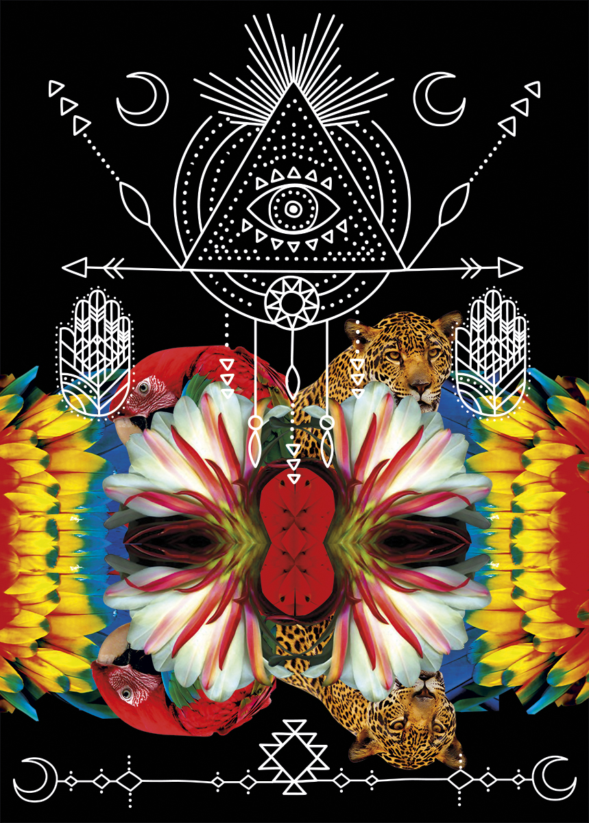 Ilustra Capapiva2