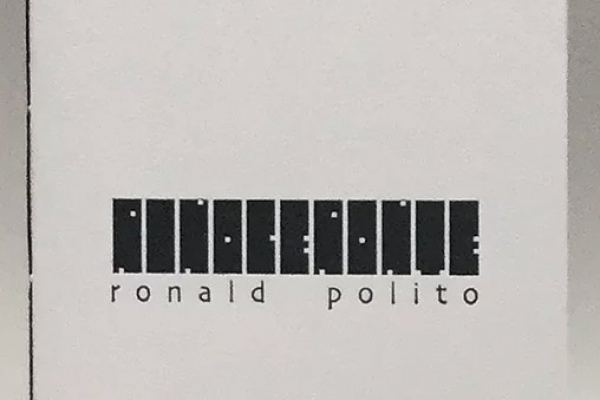 rinoceronte1_analisejaínecintraDC46EF10-2F69-9A25-CDF3-D0C87B5FC603.jpg