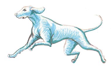 Ilustração de A cadelinha Ofélia em viagem mundo afora